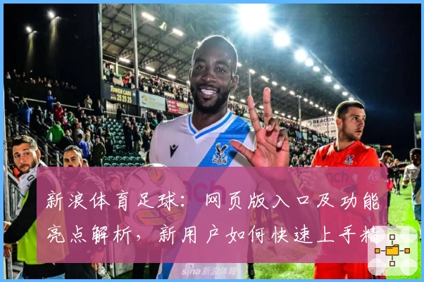 新浪体育足球：网页版入口及功能亮点解析，新用户如何快速上手精彩赛事