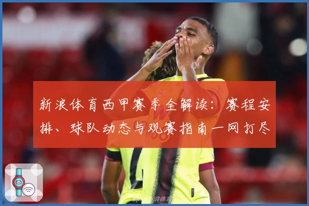 新浪体育西甲赛季全解读：赛程安排、球队动态与观赛指南一网打尽