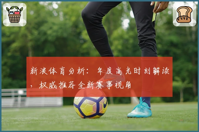 新浪体育分析：年度高光时刻解读，权威推荐全新赛事视角