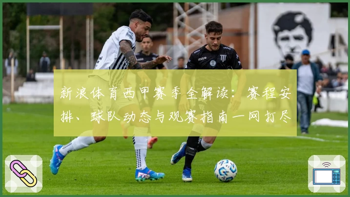 新浪体育西甲赛季全解读：赛程安排、球队动态与观赛指南一网打尽