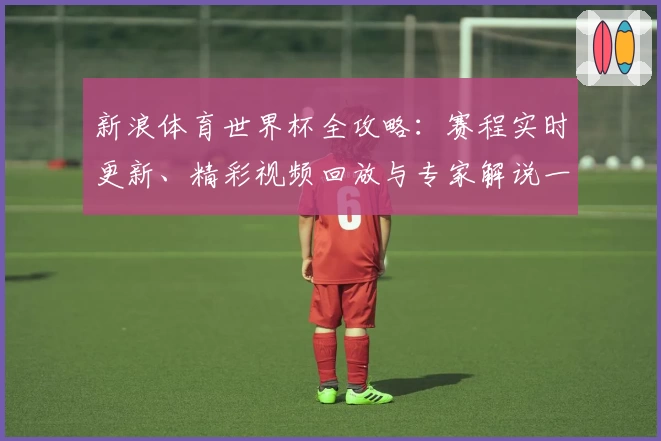 新浪体育世界杯全攻略：赛程实时更新、精彩视频回放与专家解说一站体验