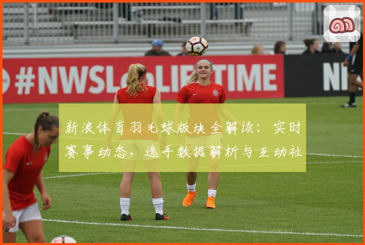 新浪体育羽毛球版块全解读：实时赛事动态、选手数据解析与互动社区体验
