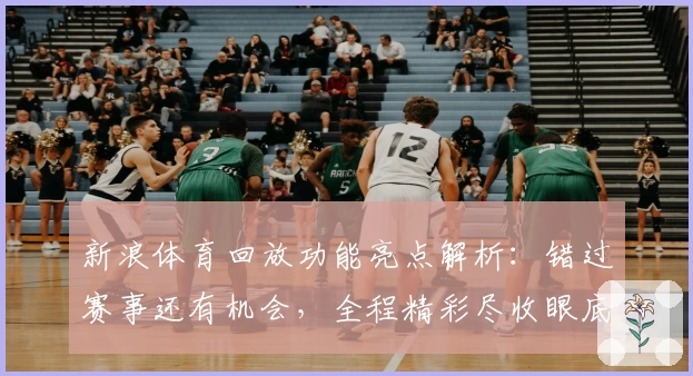 新浪体育回放功能亮点解析：错过赛事还有机会，全程精彩尽收眼底