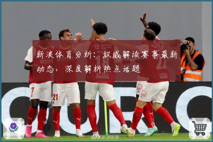 新浪体育分析:权威解读赛事最新动态,深度解析热点话题