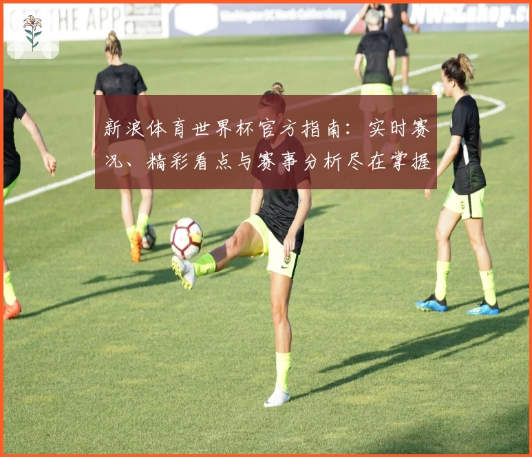 新浪体育世界杯官方指南：实时赛况、精彩看点与赛事分析尽在掌握