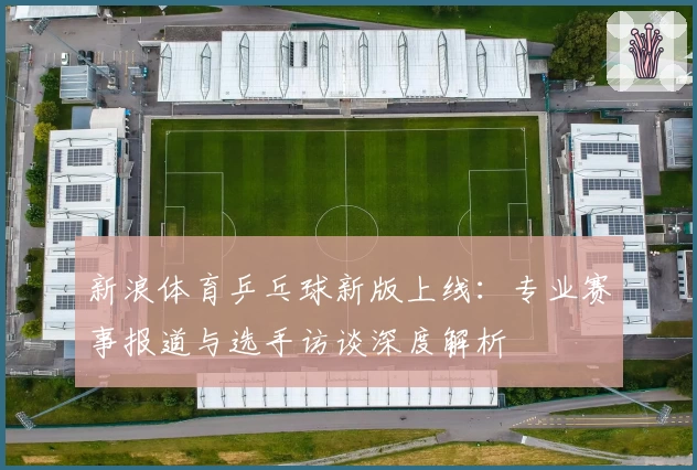 新浪体育乒乓球新版上线：专业赛事报道与选手访谈深度解析