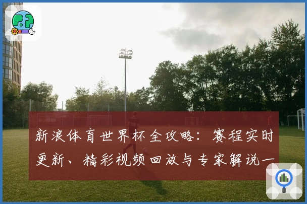 新浪体育世界杯全攻略：赛程实时更新、精彩视频回放与专家解说一站体验