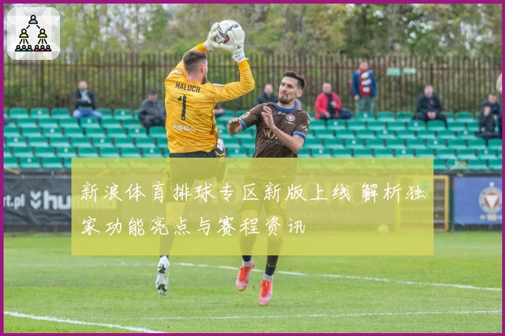 新浪体育排球专区新版上线 解析独家功能亮点与赛程资讯